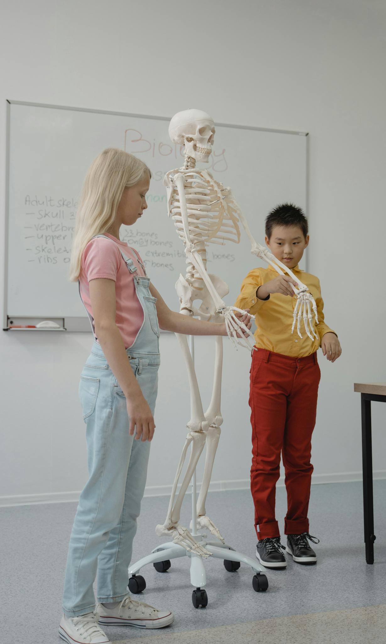 Kids engaging with a skeleton model in an educational setting, exploring anatomy.